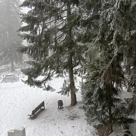 Kris Park 3* Borovets