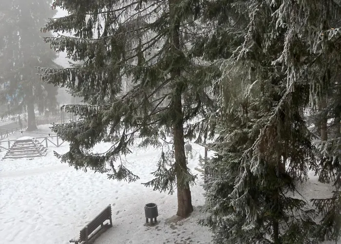 Kris Park 3* Borowec